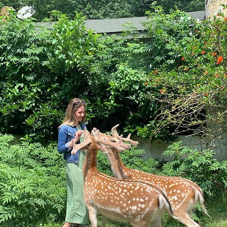 Polonezkoey Country Club & Accommodation In The Wildlife Park! Истанбул Екстериор снимка