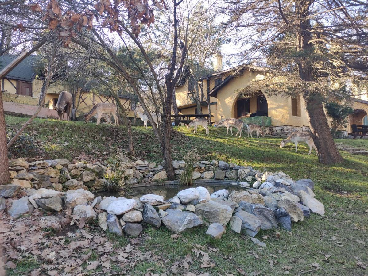 Polonezkoey Country Club & Accommodation In The Wildlife Park! Истанбул Екстериор снимка