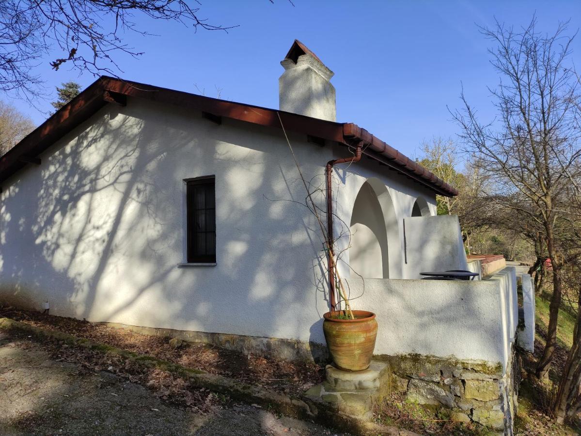 Polonezkoey Country Club & Accommodation In The Wildlife Park! Истанбул Екстериор снимка