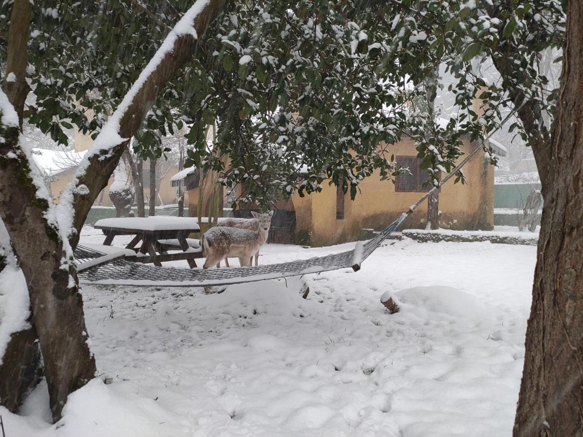Polonezkoey Country Club & Accommodation In The Wildlife Park! Истанбул Екстериор снимка