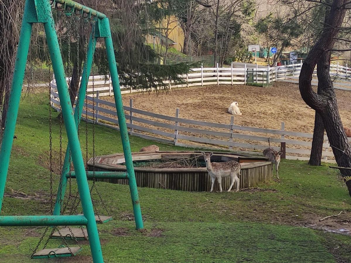 Polonezkoey Country Club & Accommodation In The Wildlife Park! Истанбул Екстериор снимка