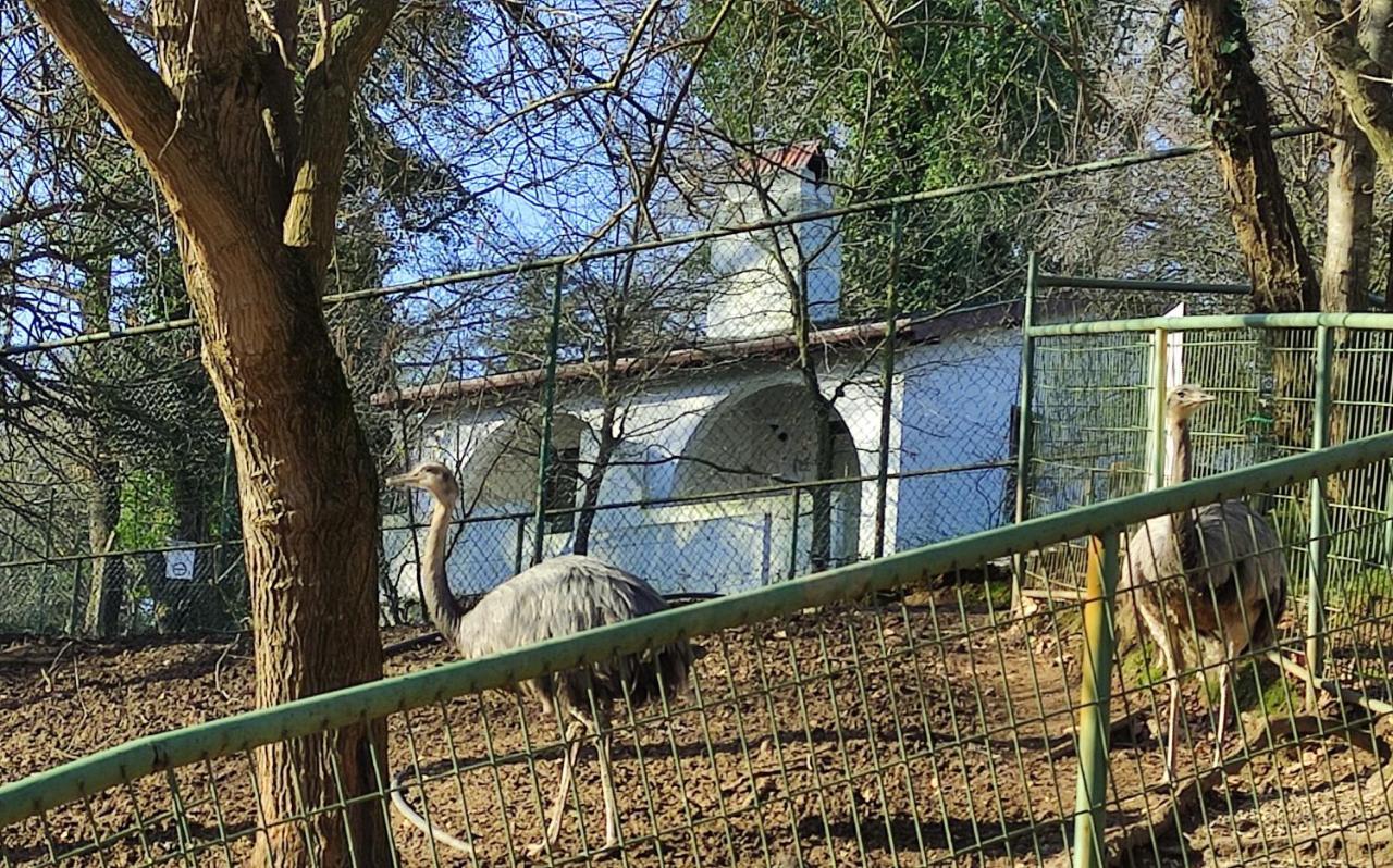 Polonezkoey Country Club & Accommodation In The Wildlife Park! Истанбул Екстериор снимка