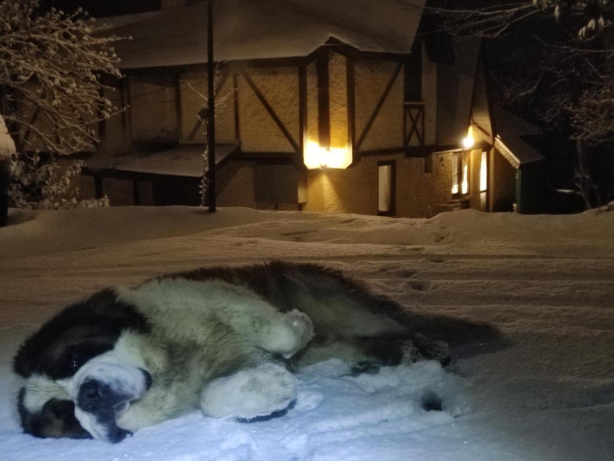 Polonezkoey Country Club & Accommodation In The Wildlife Park! Истанбул Екстериор снимка