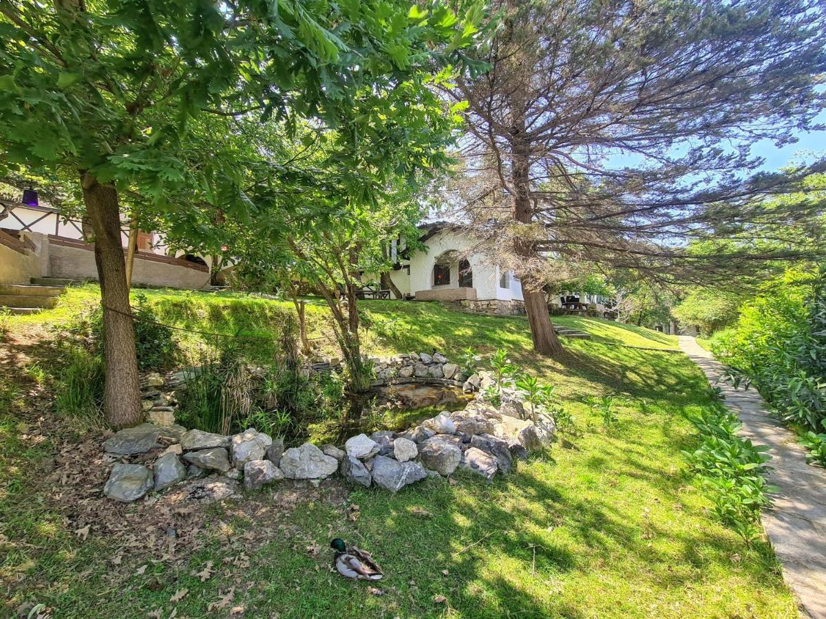 Polonezkoey Country Club & Accommodation In The Wildlife Park! Истанбул Екстериор снимка