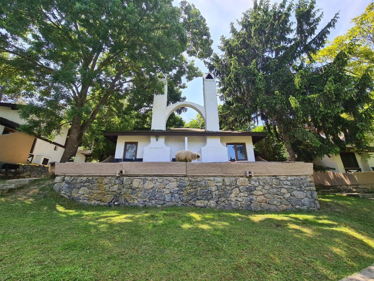 Polonezkoey Country Club & Accommodation In The Wildlife Park! Истанбул Екстериор снимка