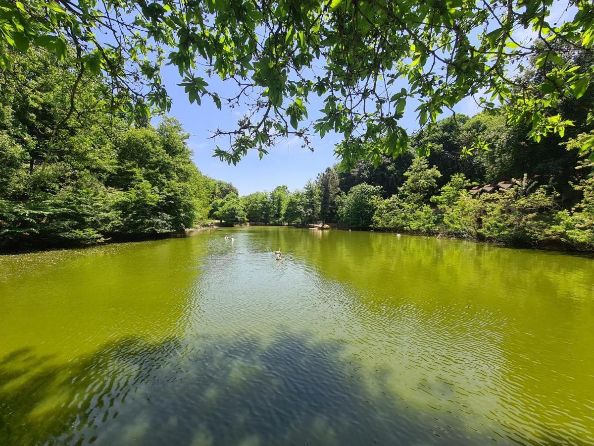Polonezkoey Country Club & Accommodation In The Wildlife Park! Истанбул Екстериор снимка