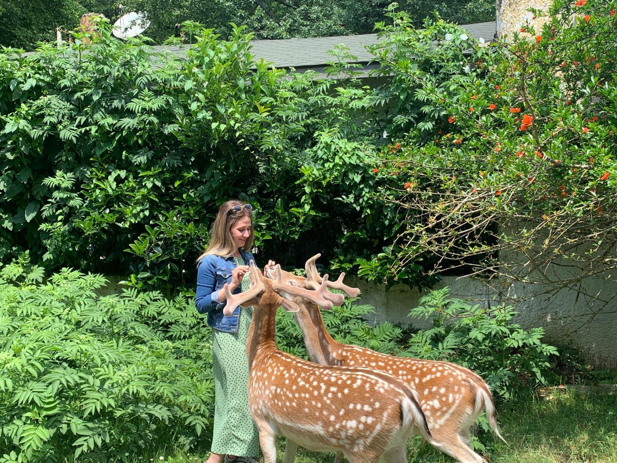 Polonezkoey Country Club & Accommodation In The Wildlife Park! Истанбул Екстериор снимка