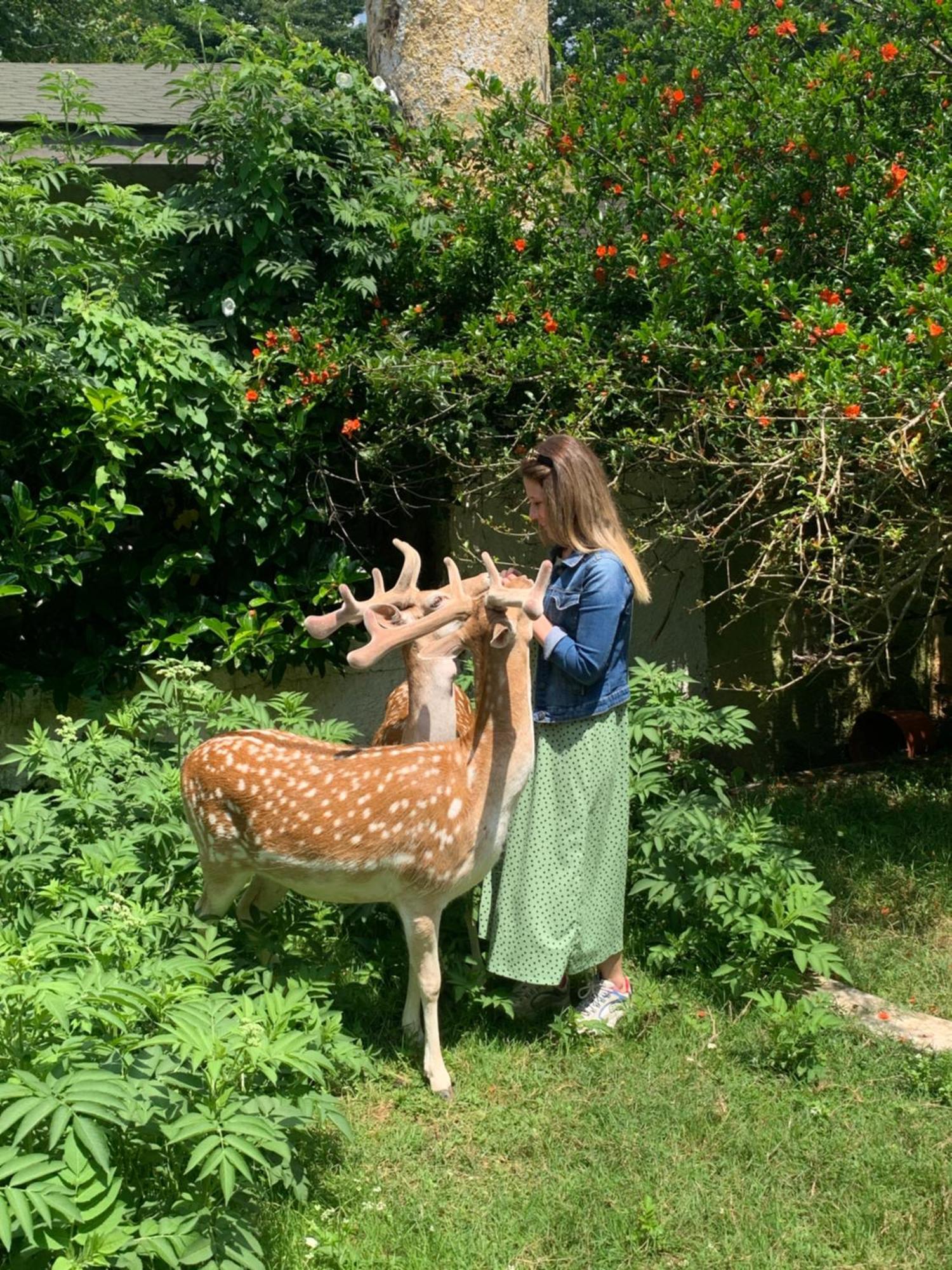 Polonezkoey Country Club & Accommodation In The Wildlife Park! Истанбул Екстериор снимка