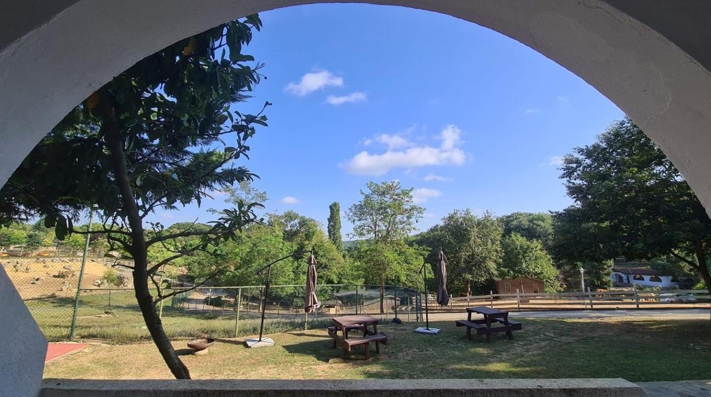 Polonezkoey Country Club & Accommodation In The Wildlife Park! Истанбул Екстериор снимка