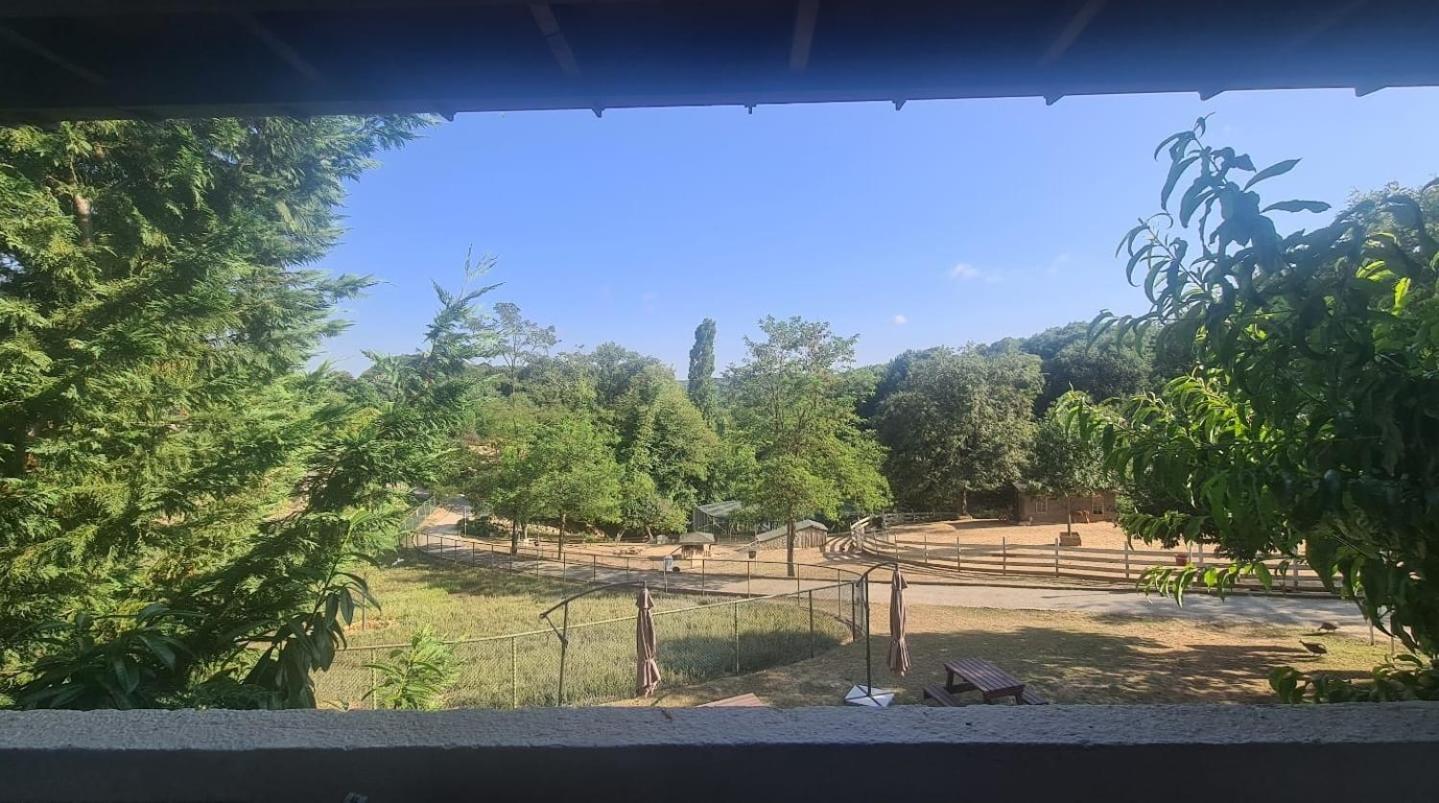 Polonezkoey Country Club & Accommodation In The Wildlife Park! Истанбул Екстериор снимка