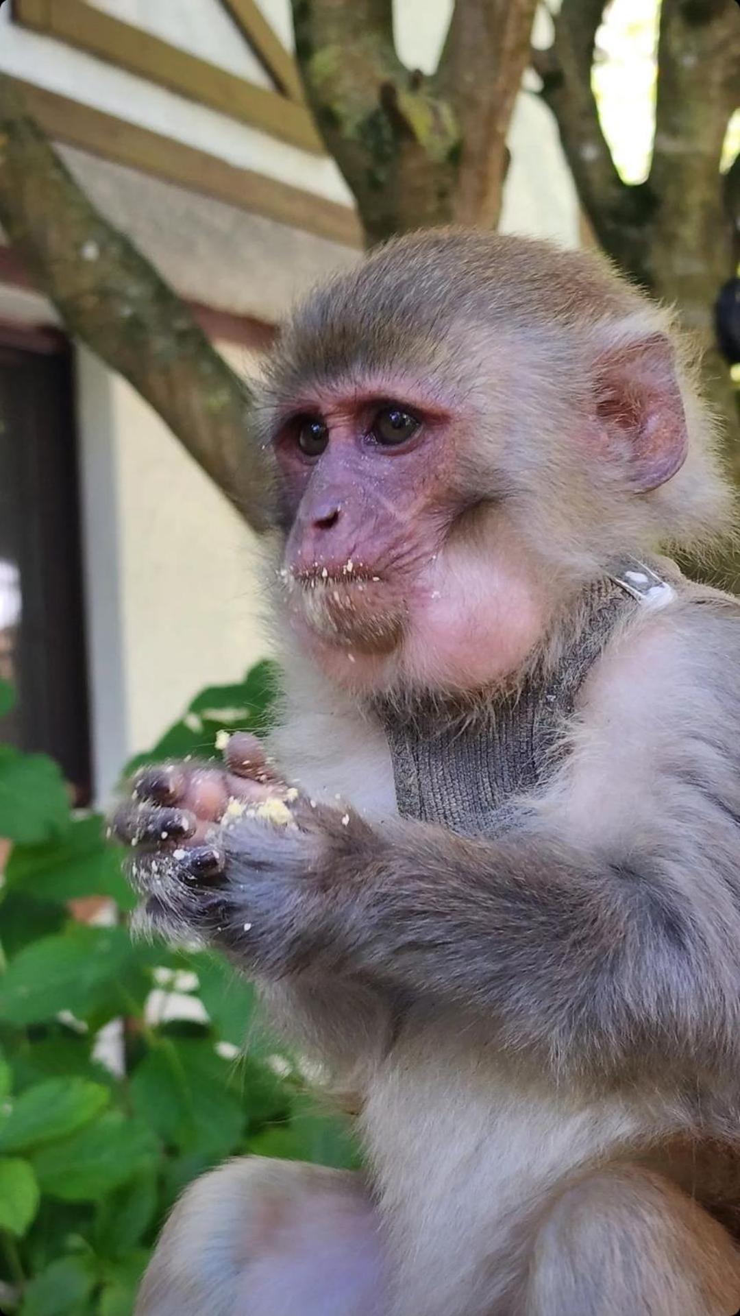 Polonezkoey Country Club & Accommodation In The Wildlife Park! Истанбул Екстериор снимка