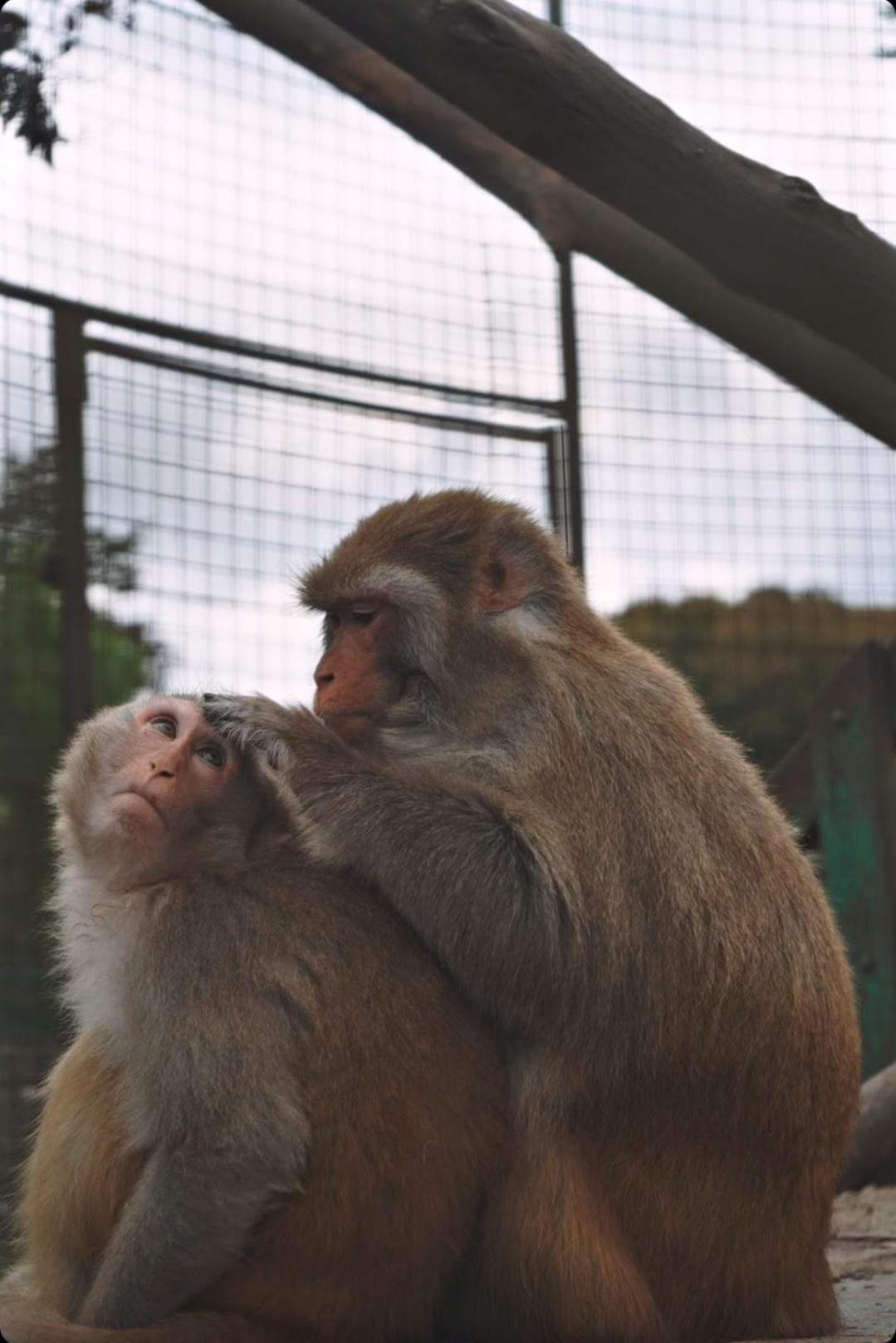 Polonezkoey Country Club & Accommodation In The Wildlife Park! Истанбул Екстериор снимка